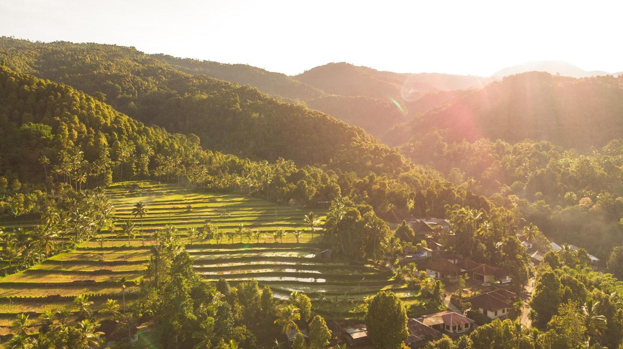 Nadira Bali Villa Munduk Buitenkant foto